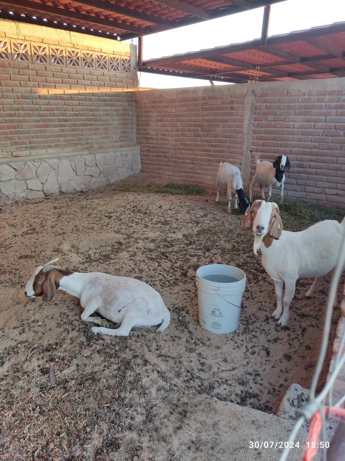 VENTA DE RANCHO EN SAN PEDRO, LA PAZ, B.C.S.