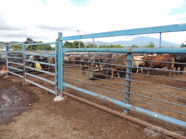 Terreno en Venta en el Arenal, Jalisco