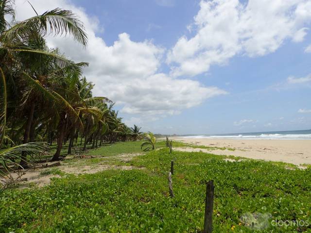 Playa Larga Zihuatanejo 11 Hectareas en Venta Vista Pacifico T547