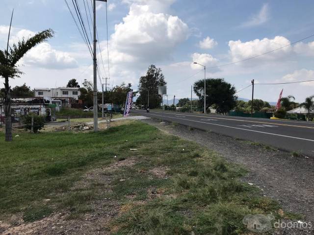 Terreno 47,730.12 m2 sobre carretera San Sebastián el Grande-Tlajomulco de Zúñiga con pozo propio registrado y tres frentes (cabecera de Manzana) luz y teléfono al pie del terreno