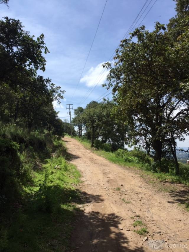 AMPLIO TERRENO EN VENTA UBICADO EN SAN MIGUEL CAÑADAS.