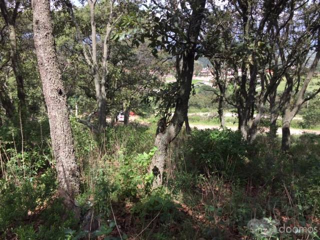 AMPLIO TERRENO EN VENTA UBICADO EN SAN MIGUEL CAÑADAS.