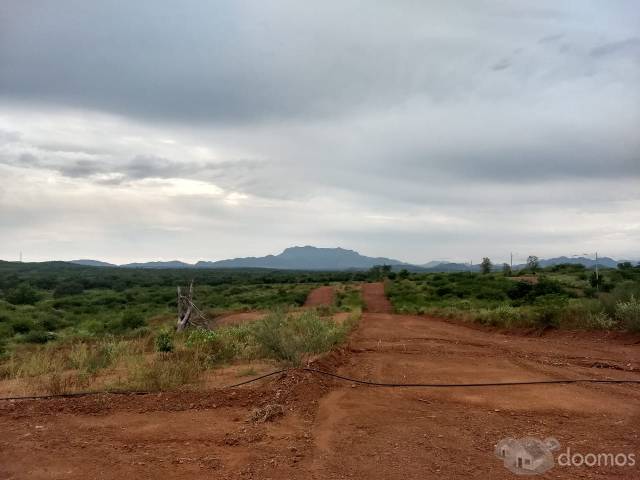 TERRENO EN VENTA CULIACAN, CAMPESTRE