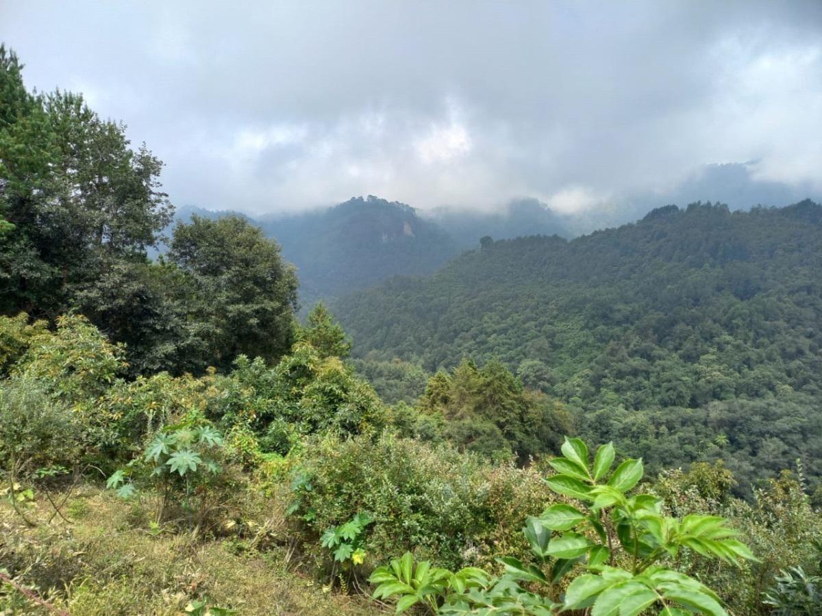 Terreno en venta en la zona de Jalacingo, Veracruz por Teziutlán