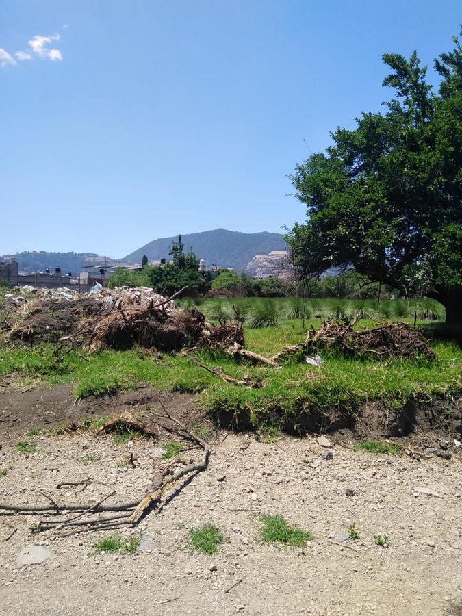 TERRENO EL CORNEJAL, NARCISO BASSOLS, TENANGO DEL VALLE, 1,000 M2