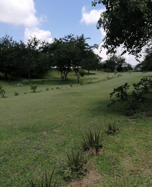 RANCHO EN VENTA EN XOXOCOTLA