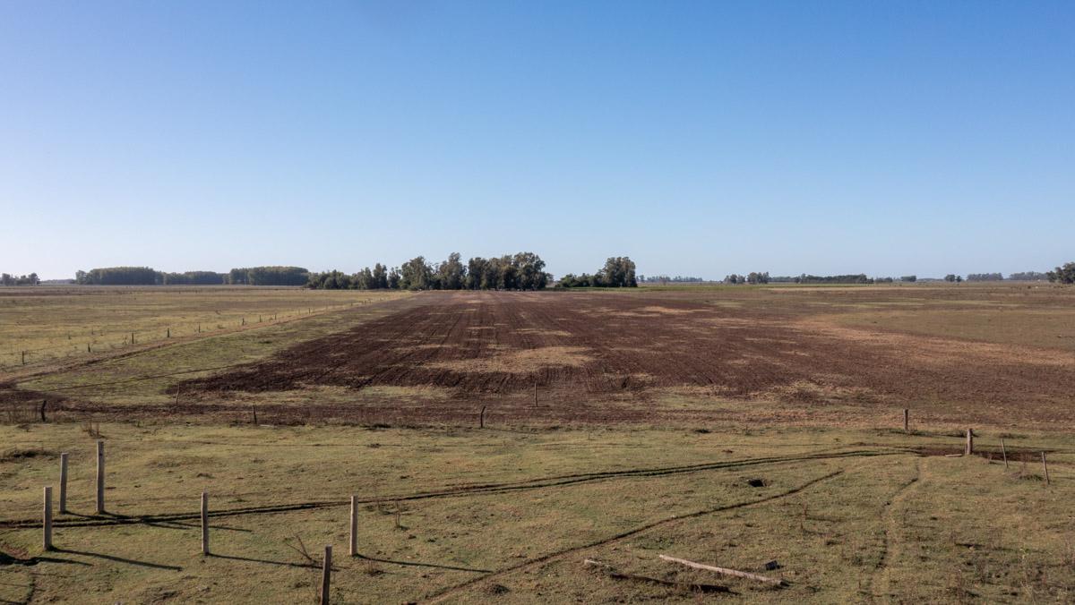 RETASADO - Campo ganadero de 125 hectáreas