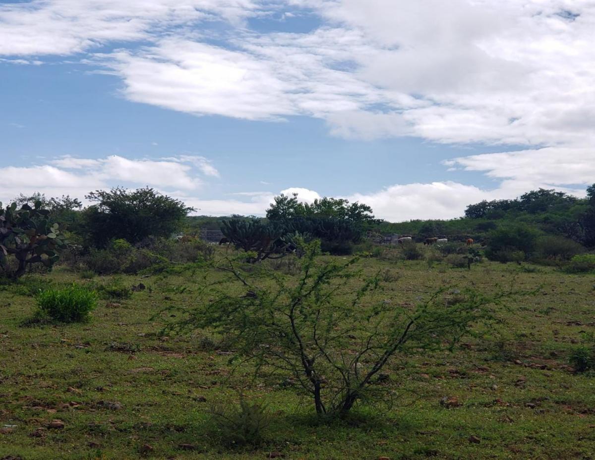 Terreno en Venta, Cerca Aeropuerto Queretaro