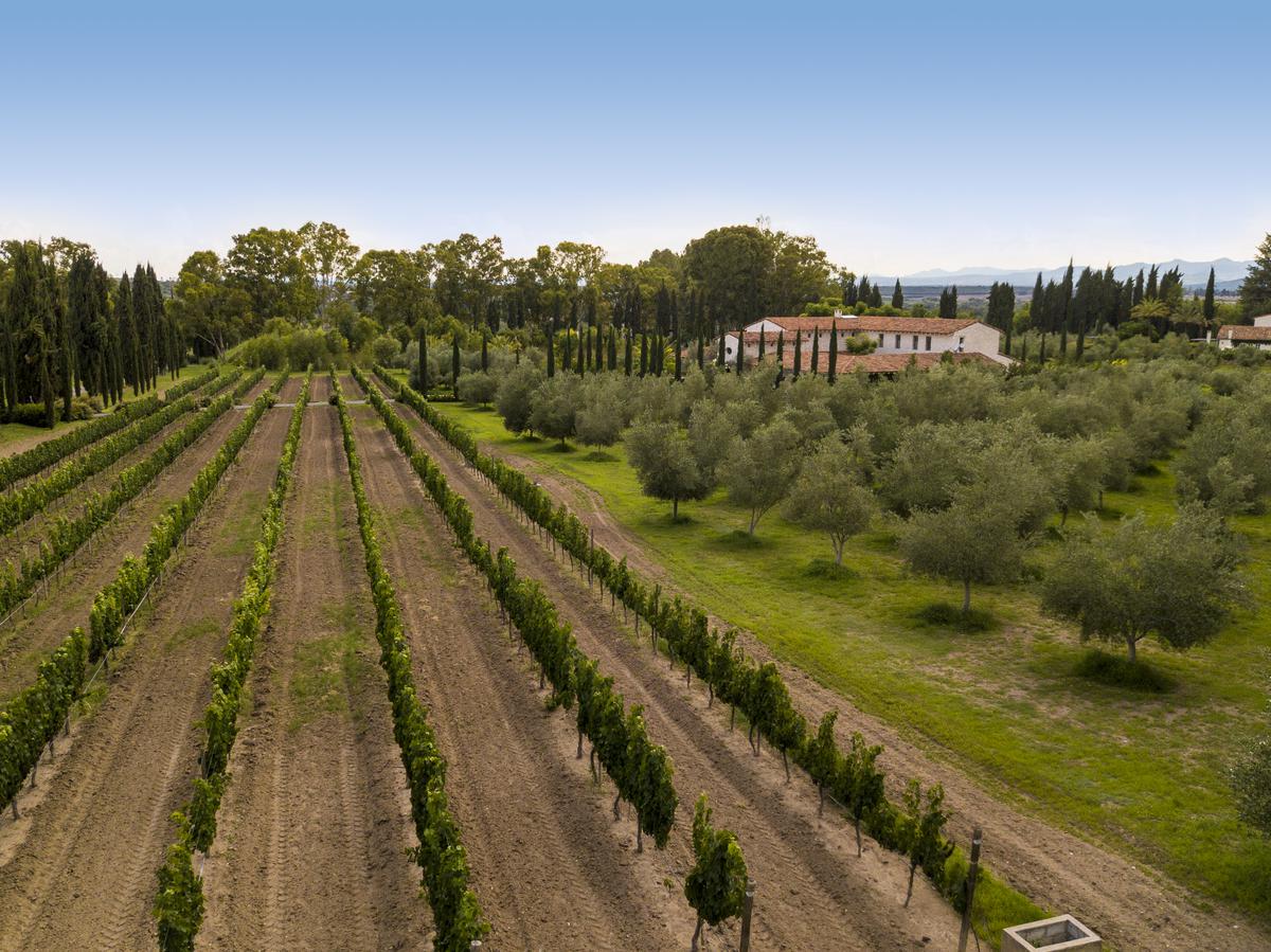 Terreno en Venta en fraccionamiento con viñedos en Dolores