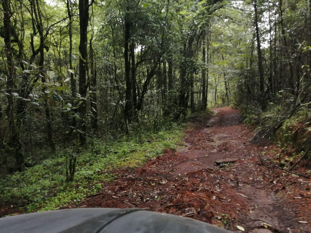 Terreno - Pinal del Marquesado