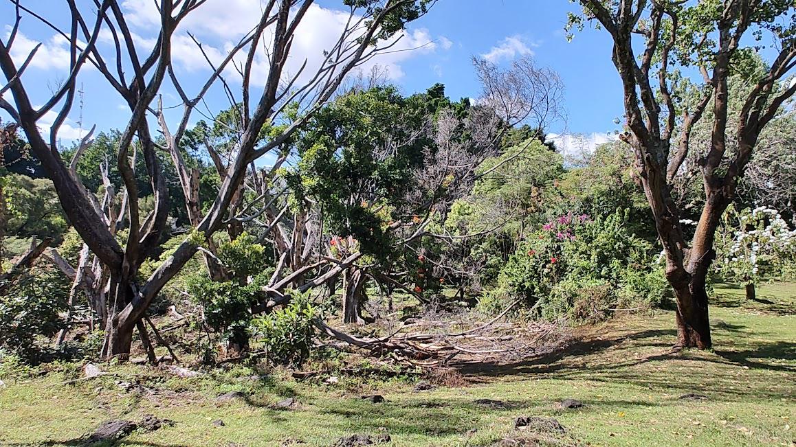 Terreno en Cuernavaca, Zona Norte a un paso de Ave. E. Zapata y salida a CDMX