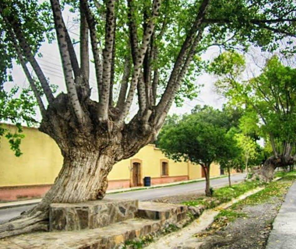 Terreno en venta Arteaga Coahuila San Isidro de las Palomas