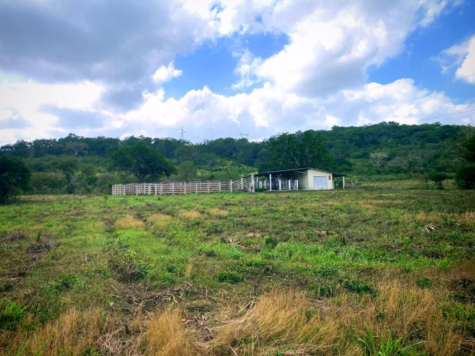 Rancho en  VENTA Tampico Alto, Ver