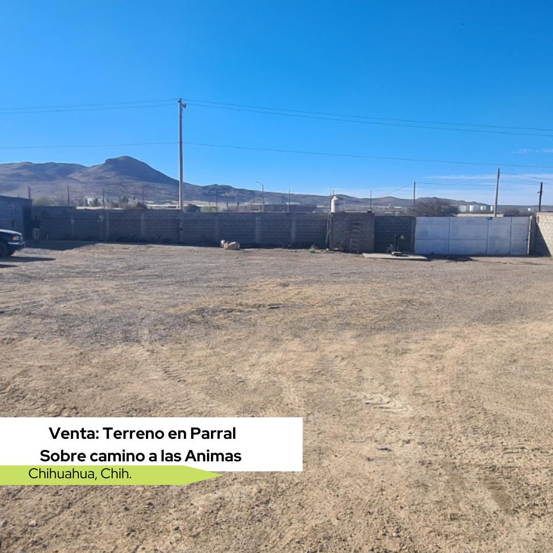 Terreno Venta Parral Gaddur TAC