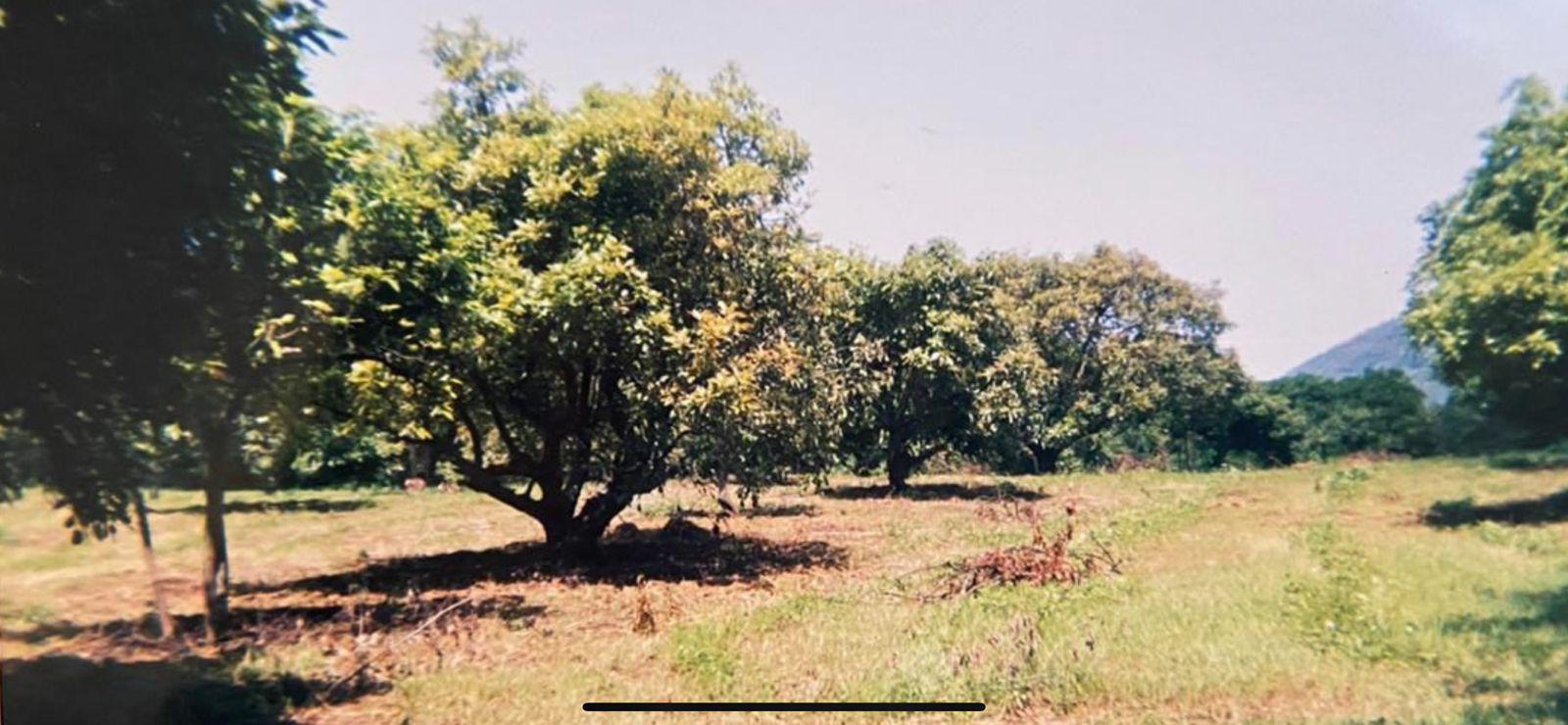 Rancho en venta en Tenancingo