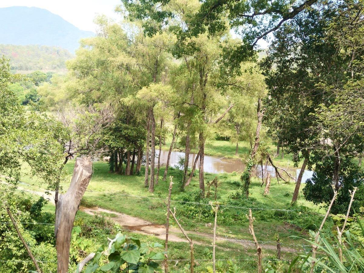 Se VENDE hermosa finca cafetalera en la zona de la concordia, Chiapas.