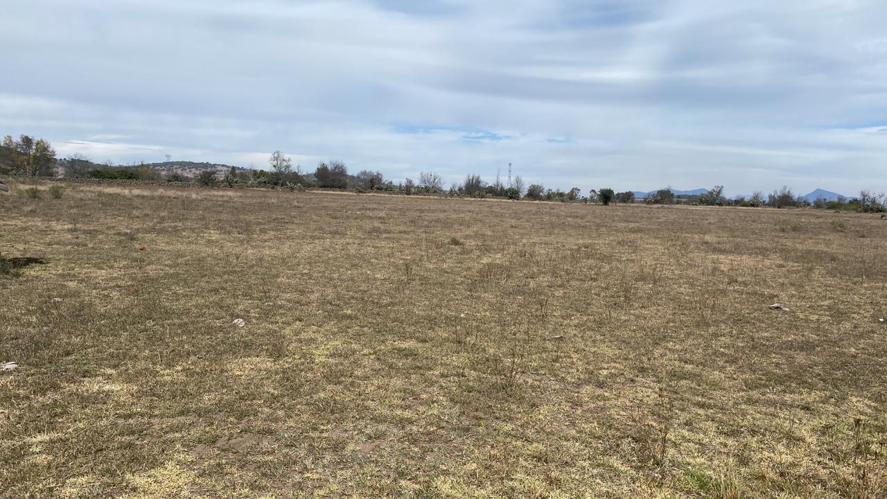 VENTA DE TERRENO EN PALOS ALTOS, SOYANIQUILPAN DE JUÁREZ, ESTADO DE MÉXICO