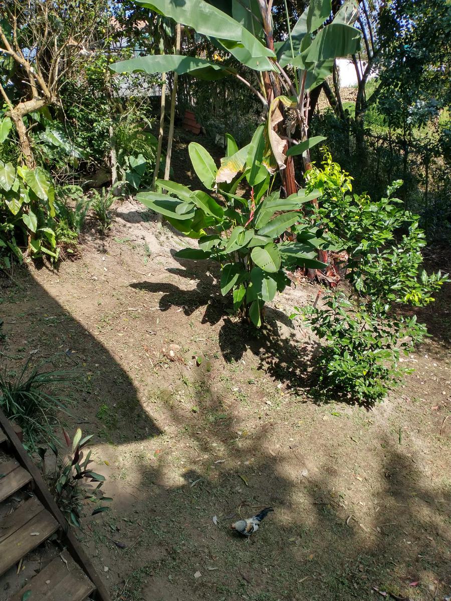 Casa Sola Residencial en Renta en Pueblo Tlalnelhuayocan