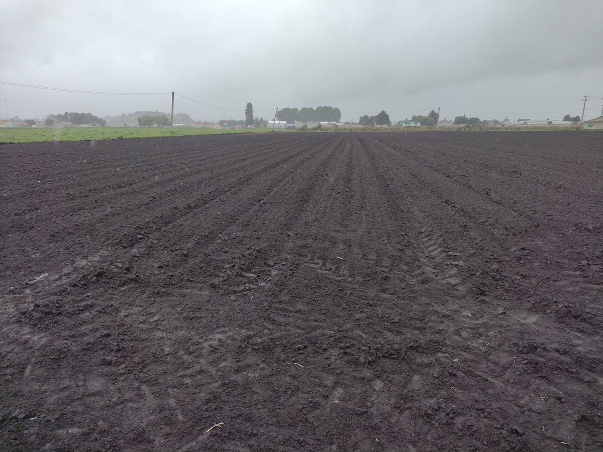 Terreno - Ex-hacienda de Atenco (Atenco)