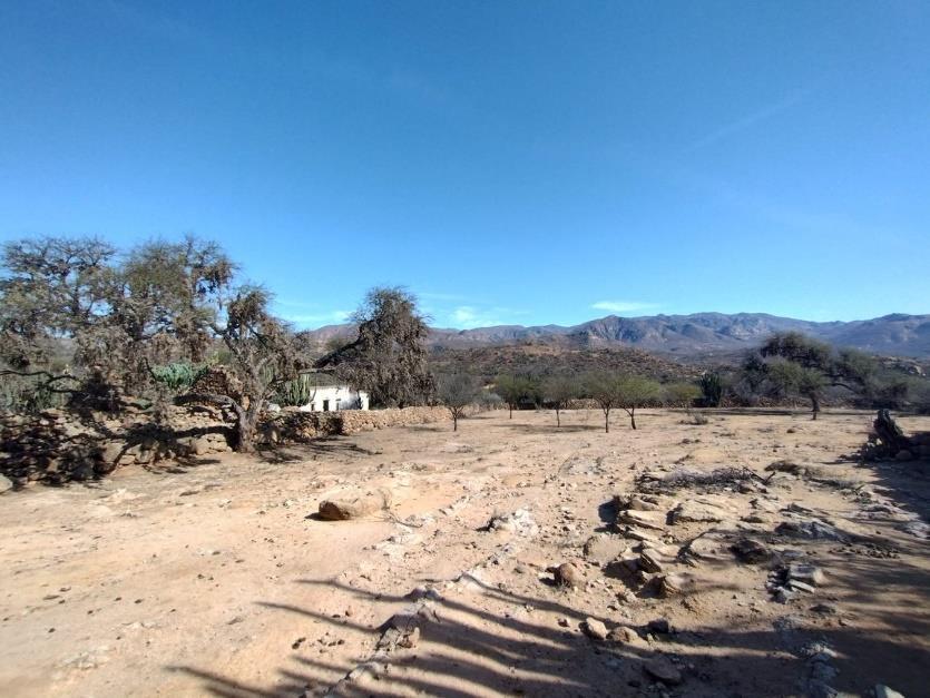 Campo en  TIERRA NUEVA