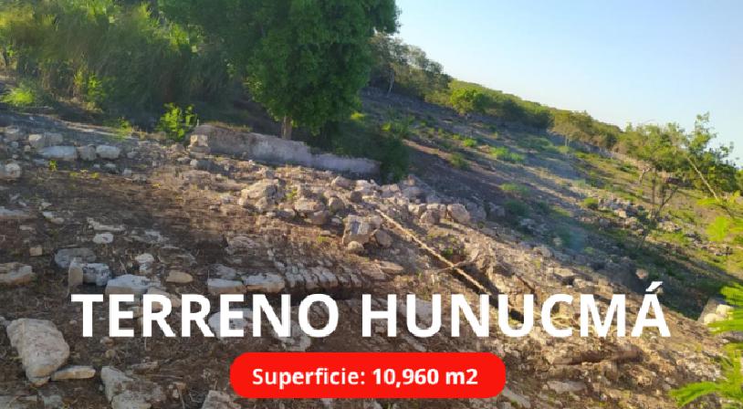 Terreno de 10000m2 en venta en Hunucmá