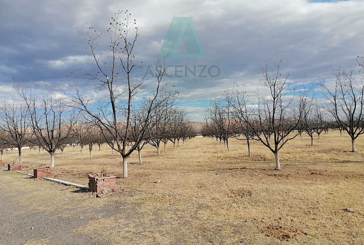 Oportunidad de Nogalera por Salida a Cd. Juarez, Fego