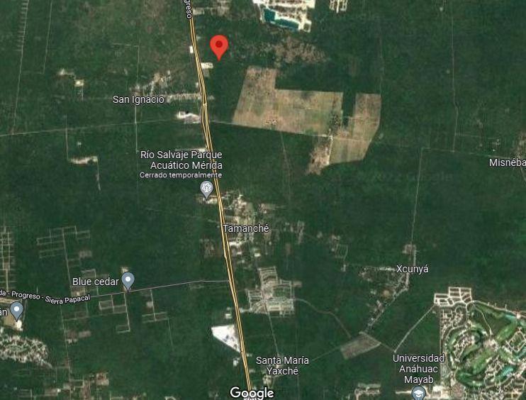 LOTE EN RENTA EN EL KM 22 DE LA CARRETERA MÉRIDA-PROGRESO