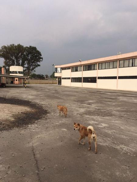 NAVE INDUSTRIAL DE OPORTUNIDAD EN TEXCOCO