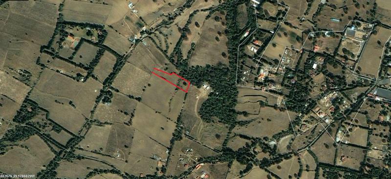 Terreno 5,000 m2 en Camino Real al Oyameyo. Carratera Federal a Cuernavaca Km 31.5