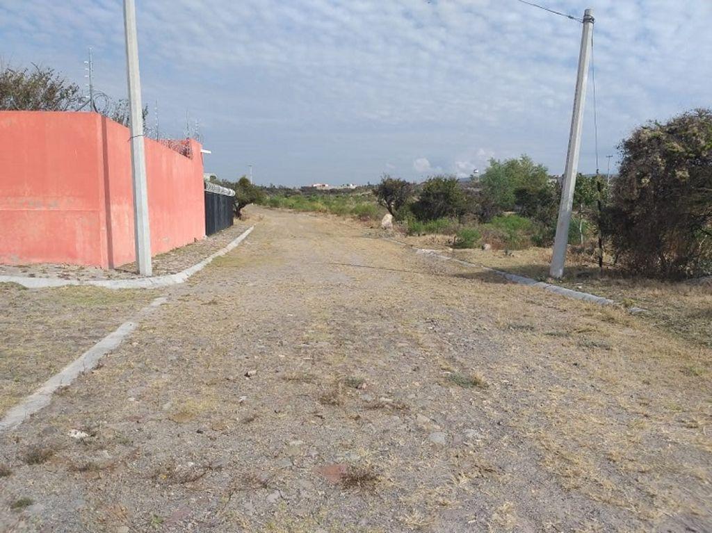 TERRENO VENTA PEDREGAL DE SAN ANTONIO JALISCO