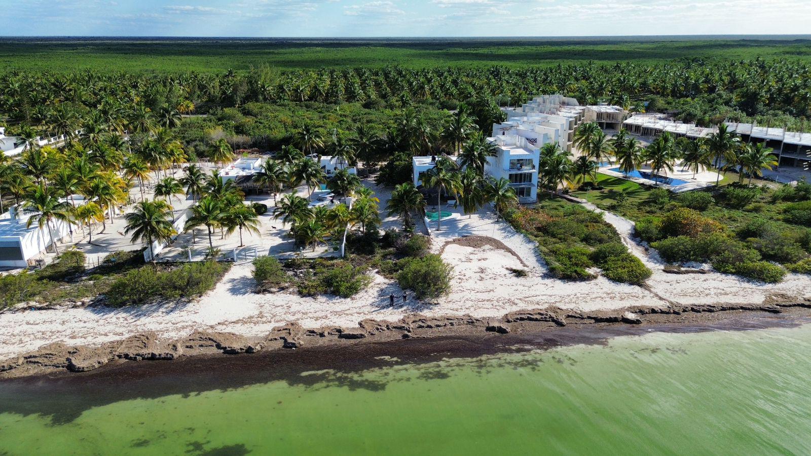 Terreno en venta EN LA PLAYA FRENTE AL MAR en Telchac,Merida,Yucatan