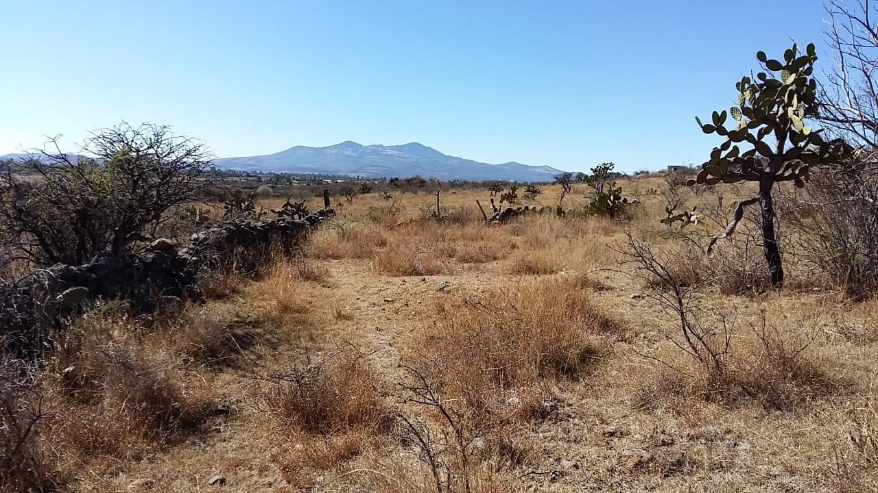 Rancho de Agostadero en remate