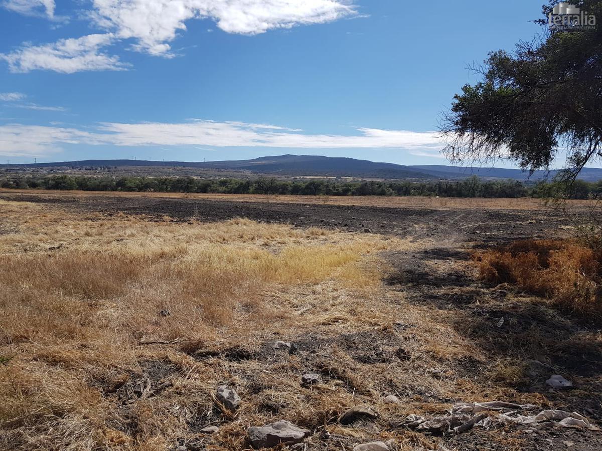 Terreno en Venta en San Antonio El Calichar 22 hectáreas