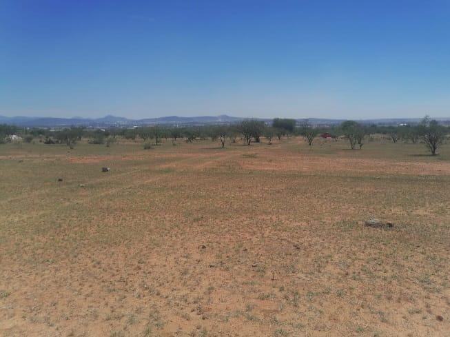 HECTAREA EN NAVAJAS