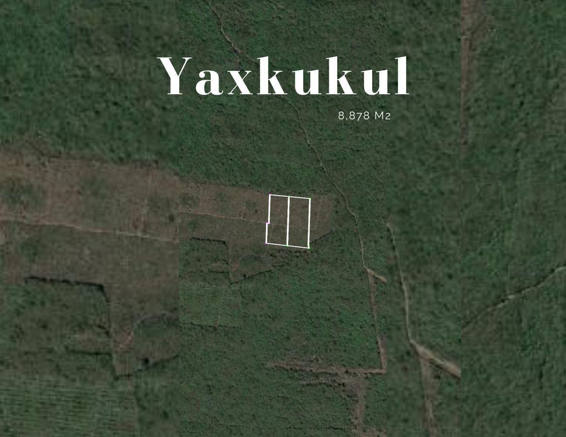 TERRENO EN VENTA EN YAXKUKUL, YUCATÁN