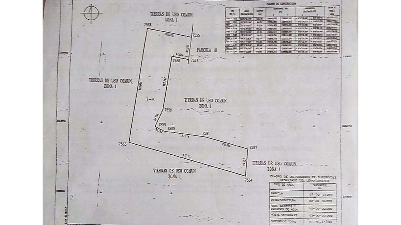 7.7 Hectáreas sobre Carretera Seyé - Canicab