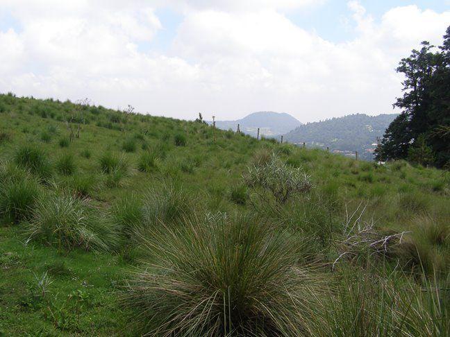 GRAN OPORTUNIDAD TERRENO EN SANTO TOMAS AJUSCO