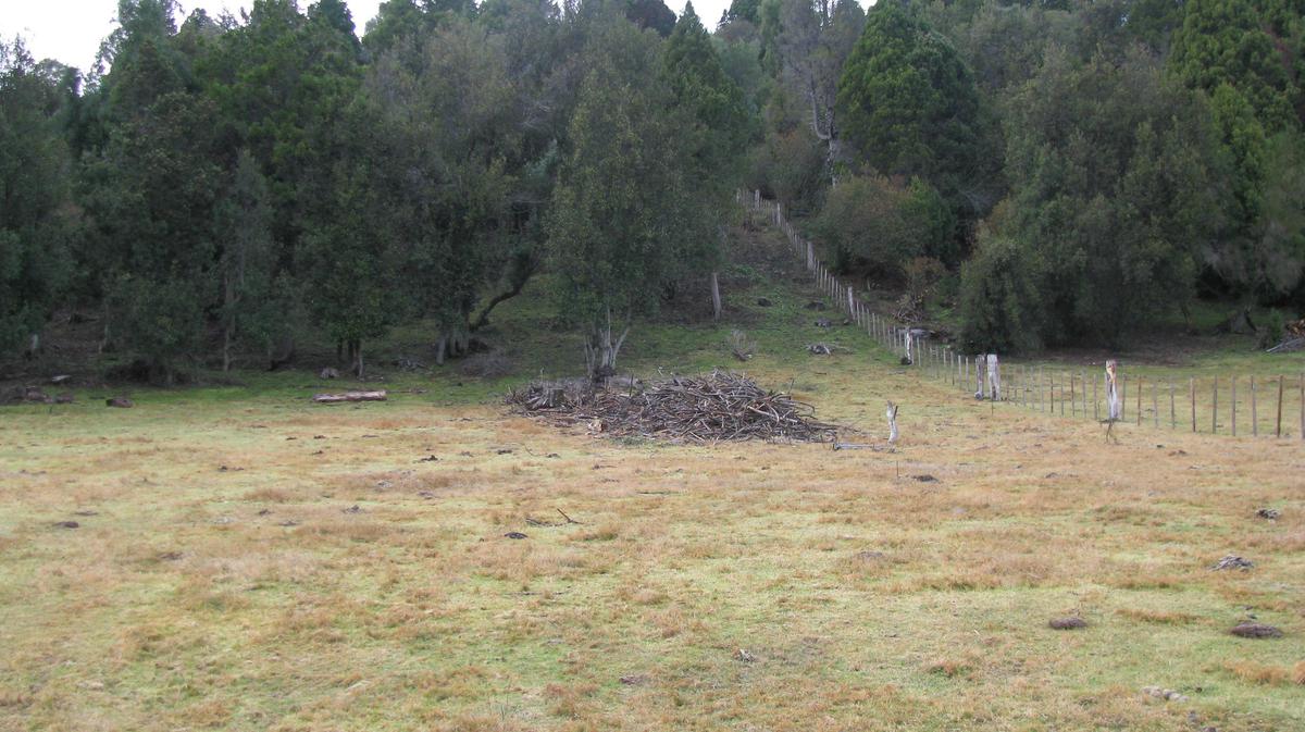 Chacra - Mallin Ahogado