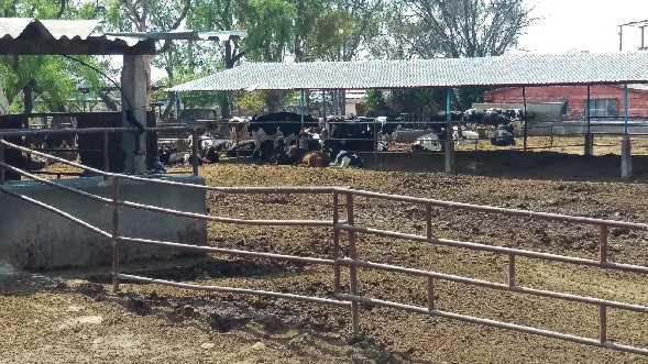 Terreno - Rancho o rancheria San Sebastián del Salitre