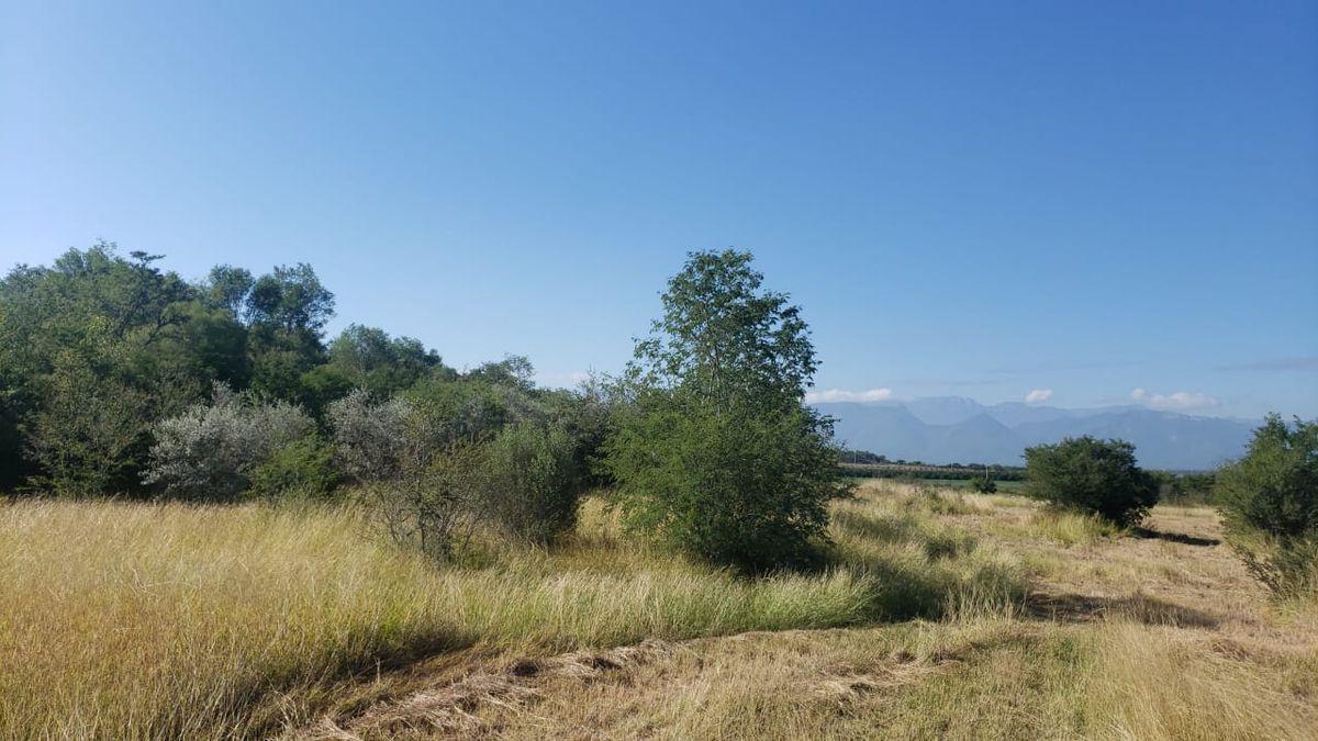 TERRENO EN VENTA EN CADEREYTA