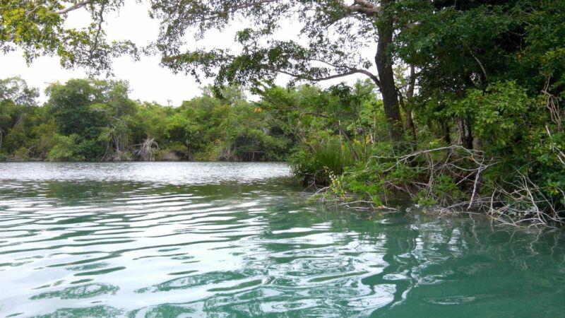 Terreno en el Rio Hondo y Estero de Chaac