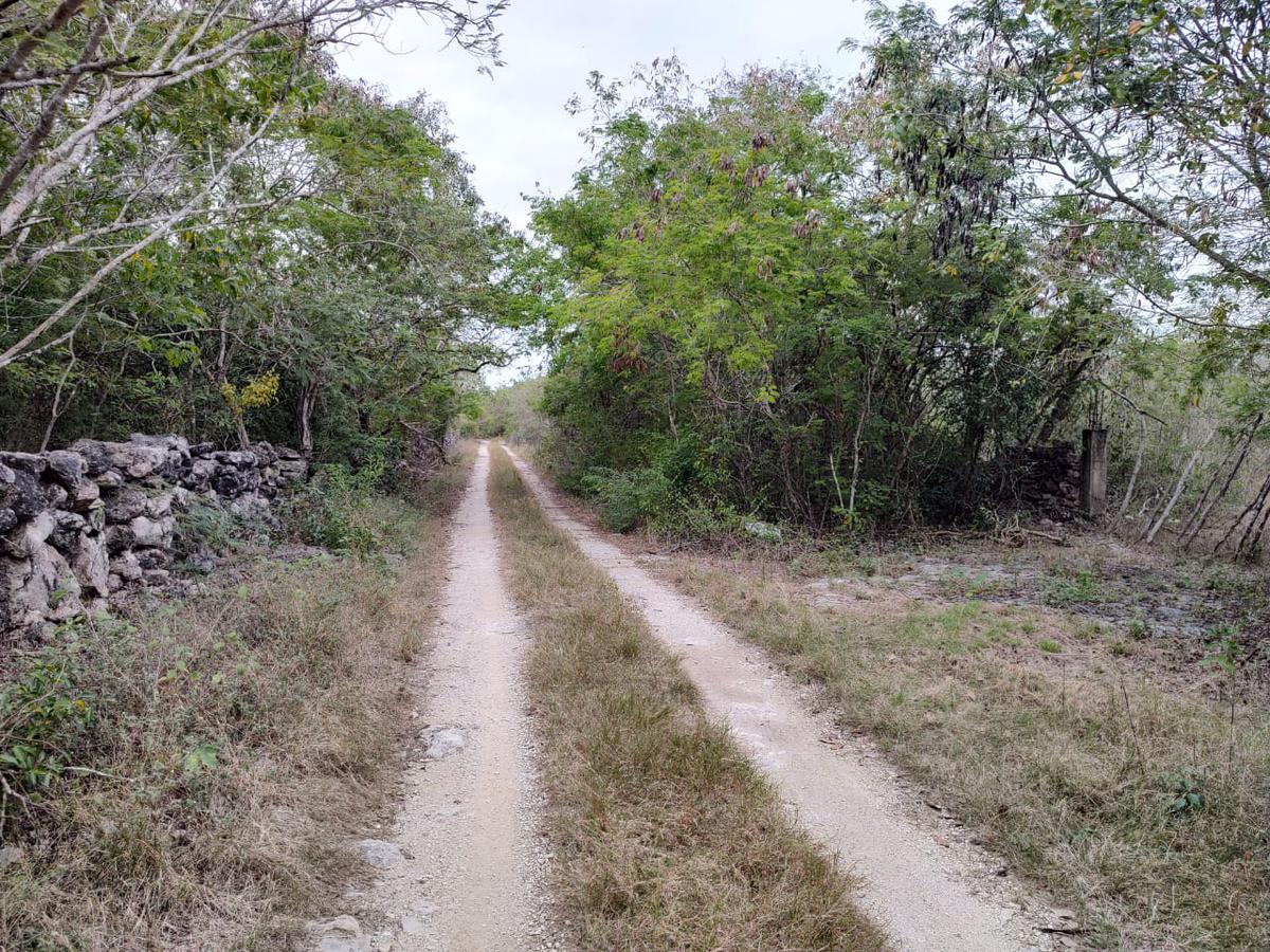 Terrenos de 9 Hectáreas en Ixil Yucatán a 40 minutos de Merida. Zona norte