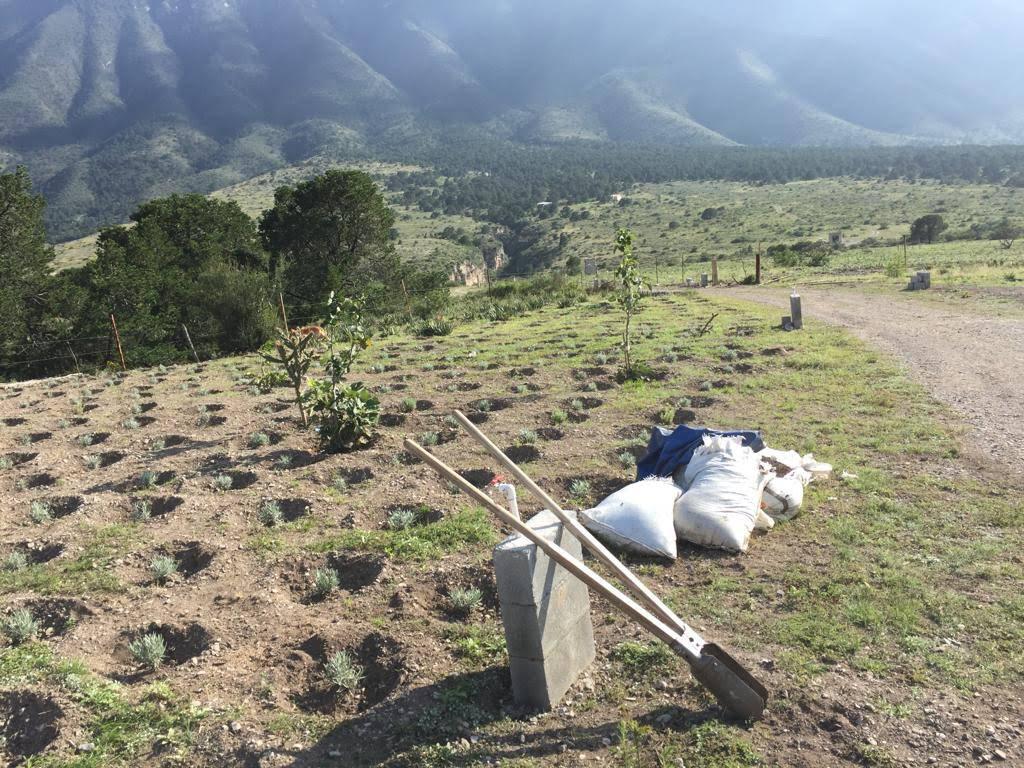 Terreno - Valle de La Sierra