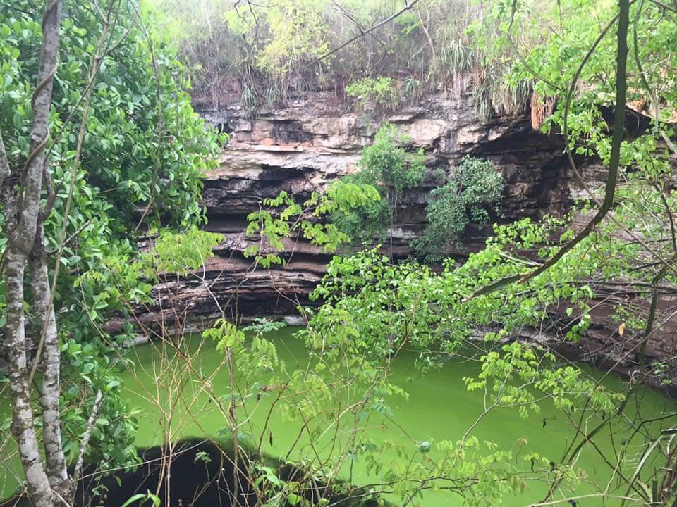 TERRENO DE 175 HAS. CON CENOTE VENTA  DZITAS,YUCATÁN