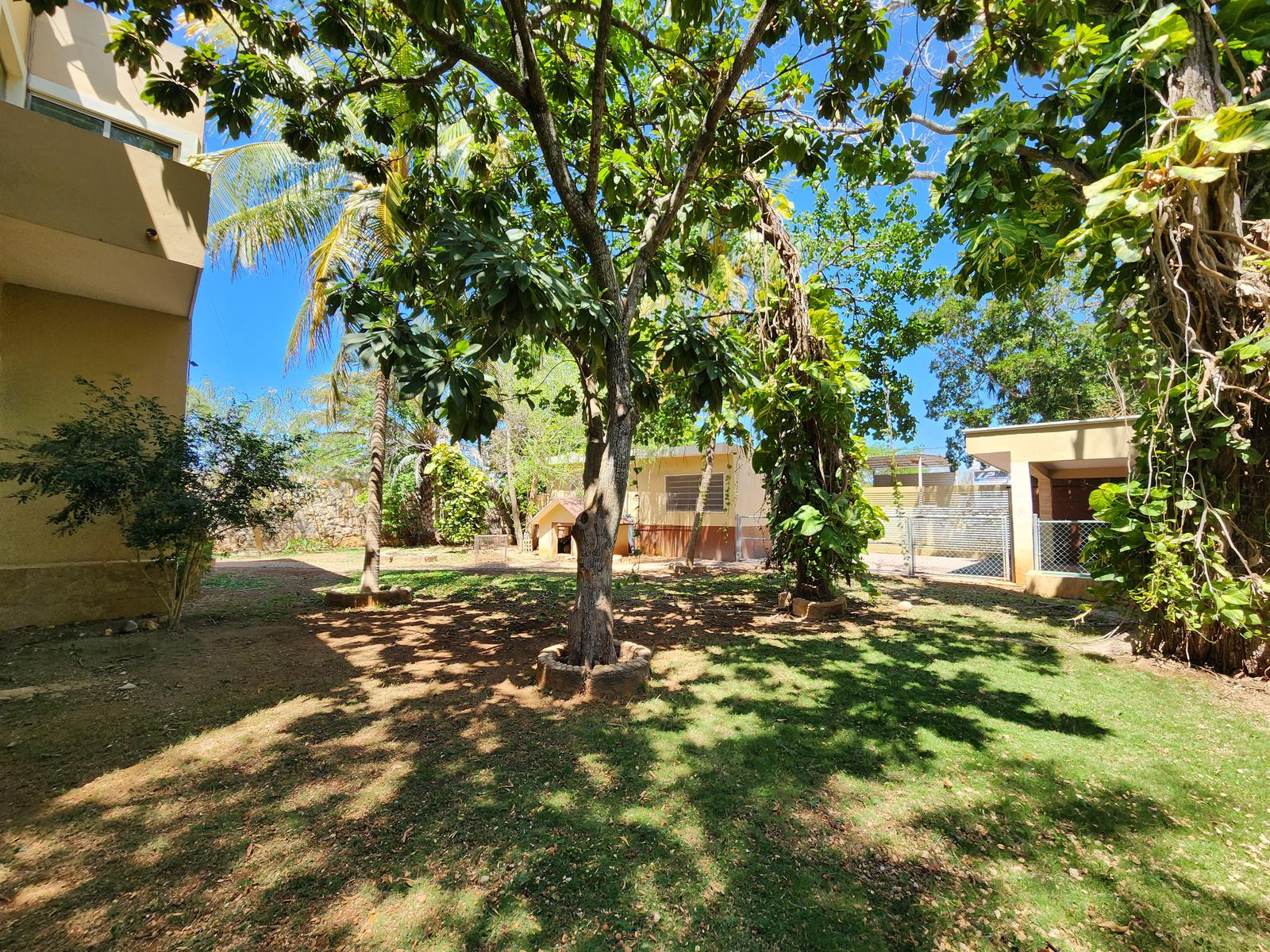 Preciosa casa en Dzitya con amplios jardines y árboles frutales.