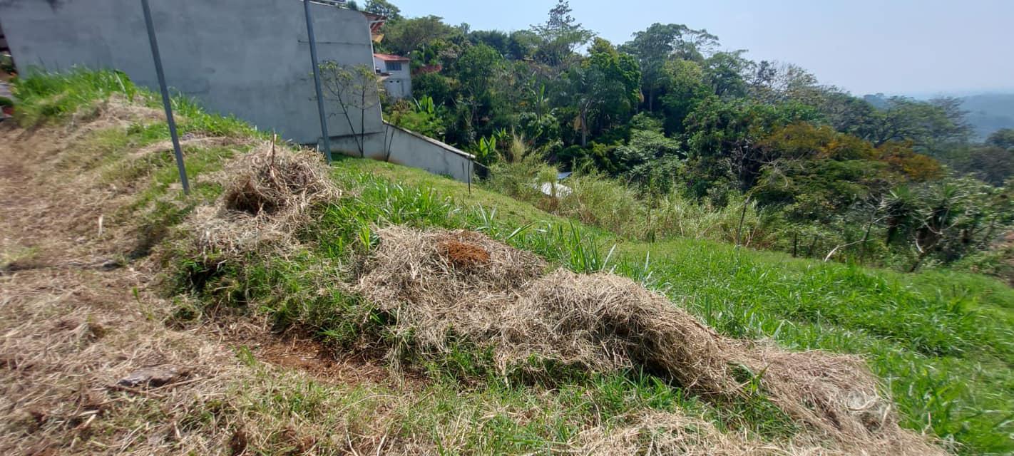 Terreno en Teocelo