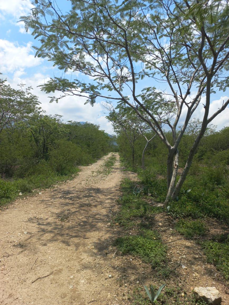 Terreno en  Venta en San Pablo Etla, Oaxaca.