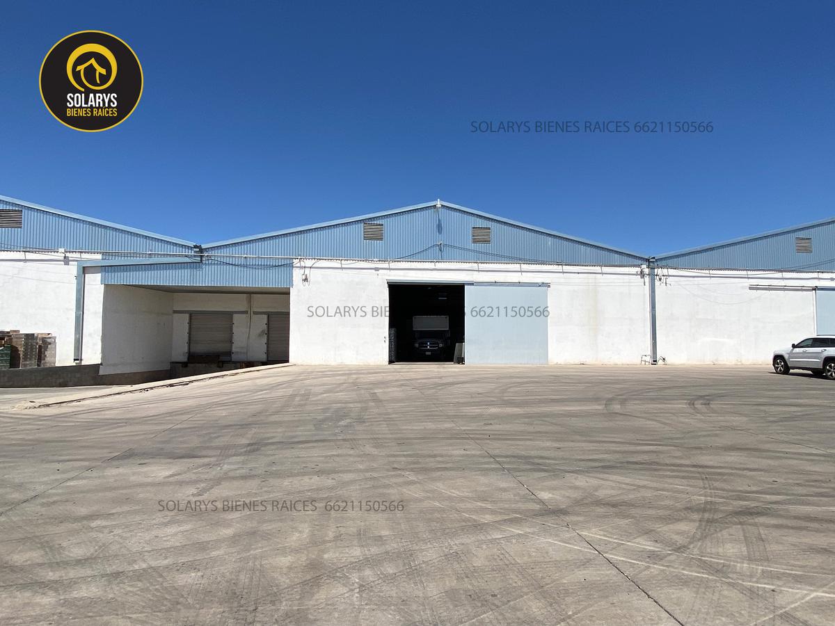 Bodega en renta 500 M2 al poniente de  Hermosillo  Aeropuerto