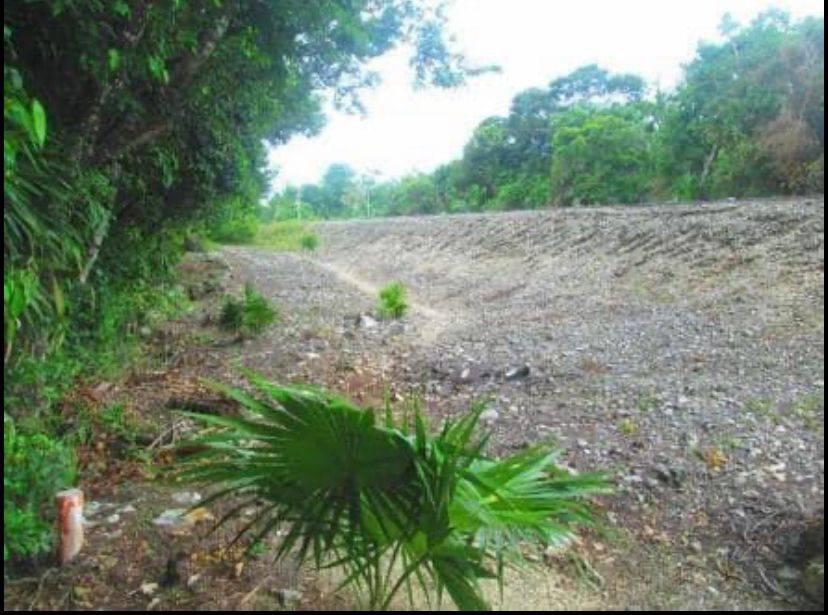 Terreno en venta Ruta de los cenotes, Puerto Morelos, Quintana Roo