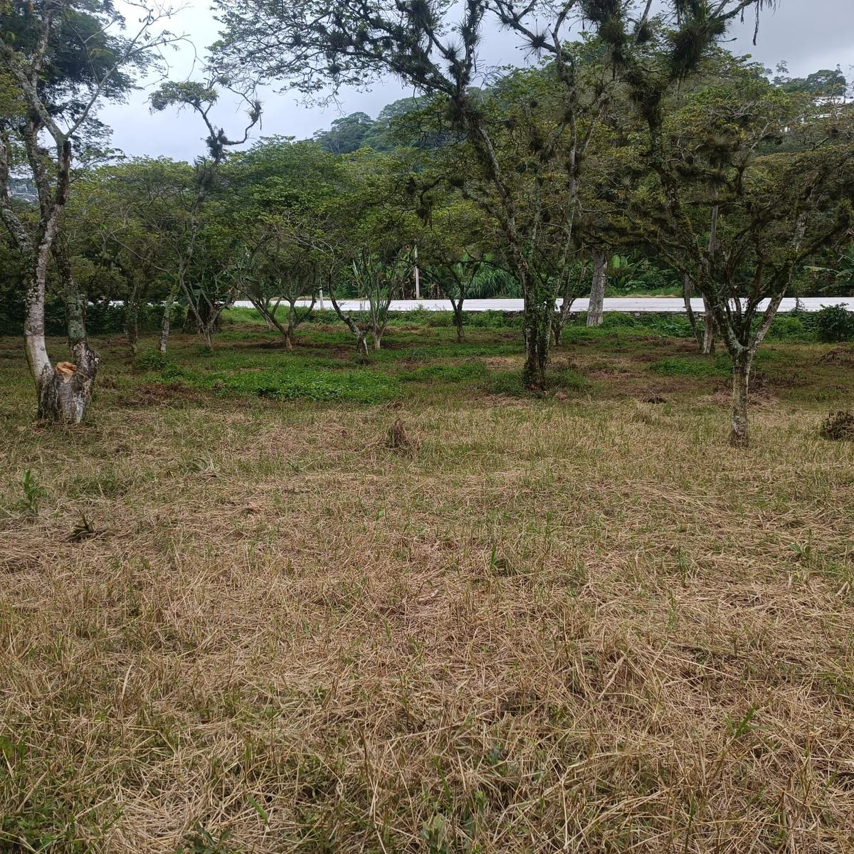 Terreno en Pueblo San Marcos